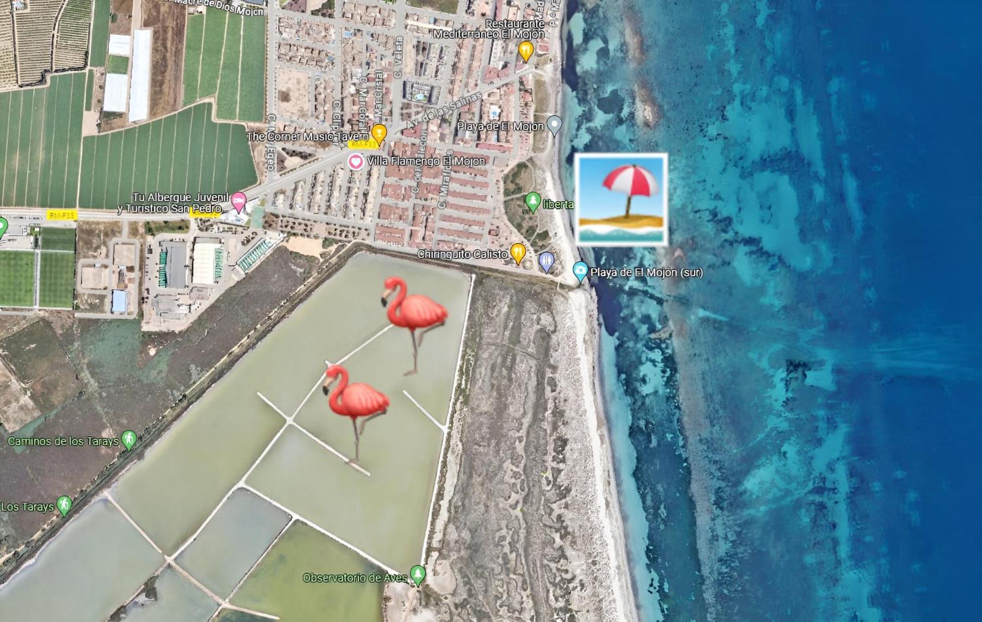 Flamingo Vila Alicante San Pedro del Pinatar Esterno foto