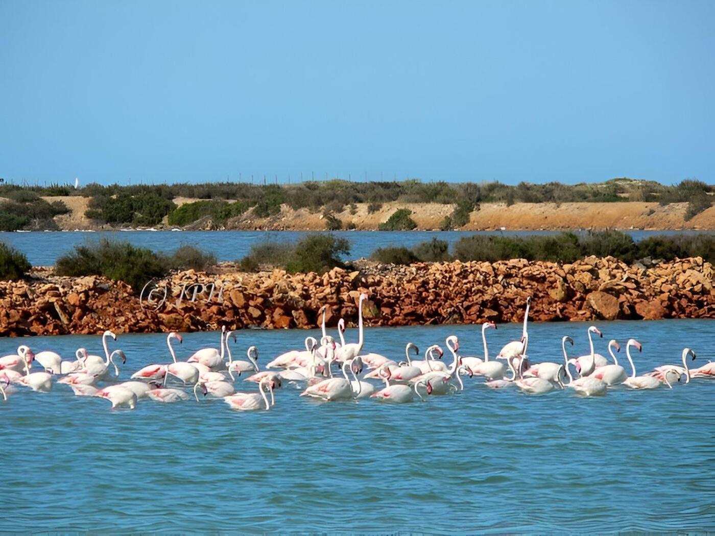 Flamingo Vila Alicante San Pedro del Pinatar Esterno foto